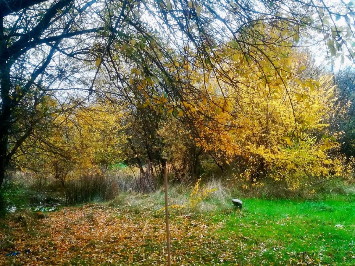 Domek letniskowy La Yurta De Gaia
